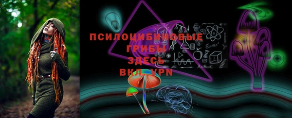 apvp Белокуриха