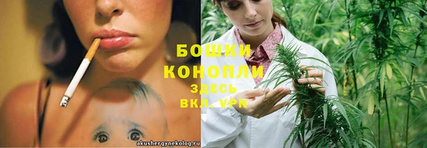 apvp Белокуриха