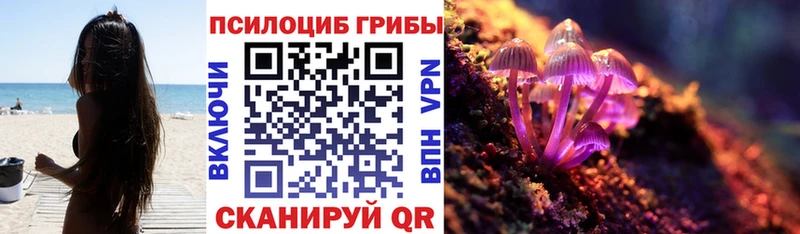 Псилоцибиновые грибы GOLDEN TEACHER  что такое наркотик  Чишмы 